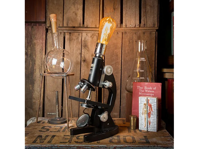 Vintage Black Microscope Lamp with illuminated Bulb